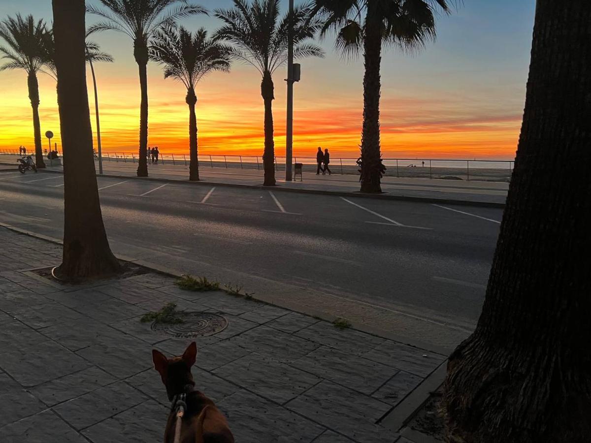 Duplex Junto A La Playa Villa Sanlúcar de Barrameda Екстериор снимка